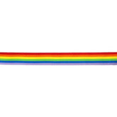 PRIDE - LGBT FLAG STRIP